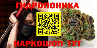 гашик Балаково