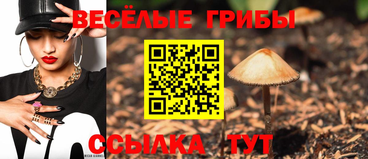 Псилоцибиновые грибы мицелий  Псилоцибиновые грибы прущие грибы  Донской  Вход с VPN 
